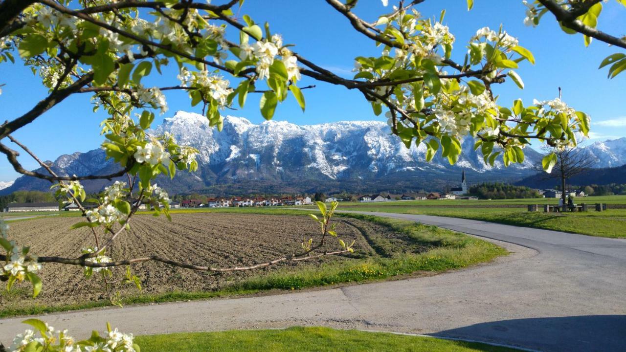 Vor Den Toren Salzburgs Wals-Siezenheim Luaran gambar